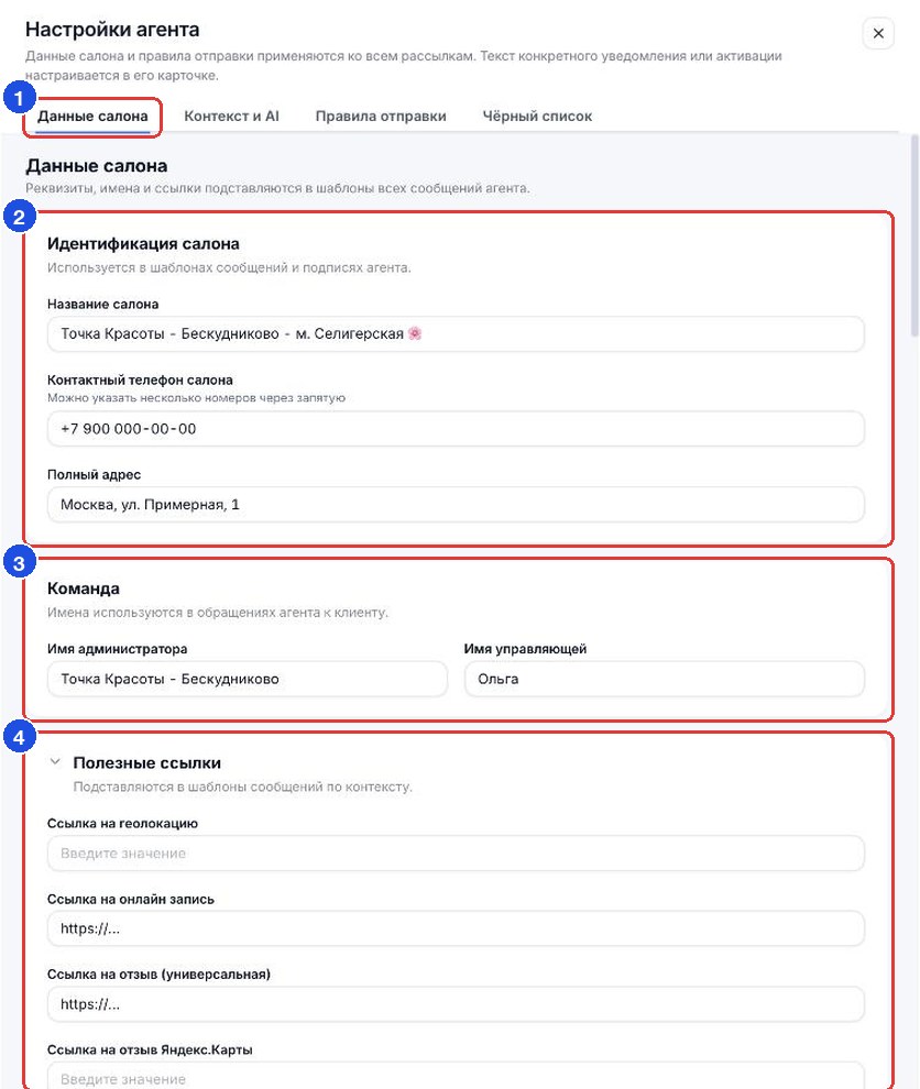 Окно «Настройки агента», раздел «Данные салона»